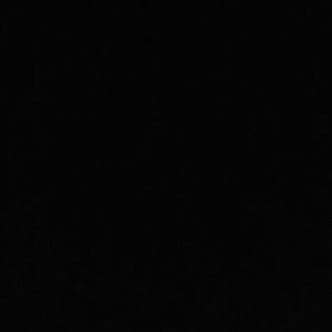 Meet your Posher, Dayna