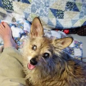 Meet your Posher, Valerie