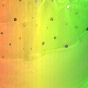 Meet your Posher, Kenlee