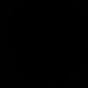 Meet your Posher, Armani