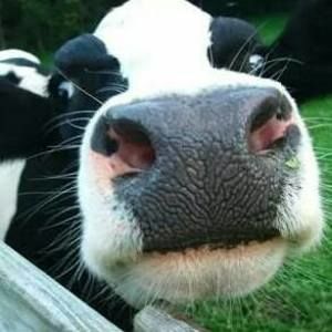 Meet your Posher, Candice