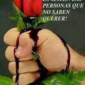 Meet your Posher, Rosie