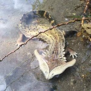 Meet your Posher, Luanne