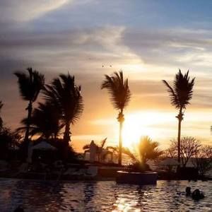 Meet your Posher, Lucy