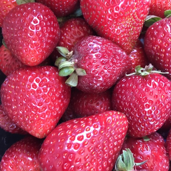 Meet your Posher, Luz - Picture 1 of 1