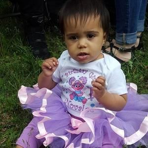 Meet your Posher, Dinorah