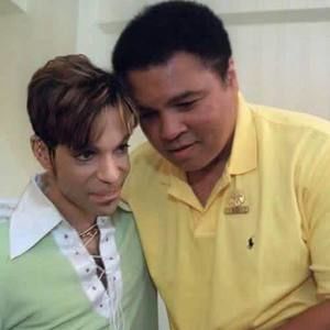 Meet your Posher, Jena'