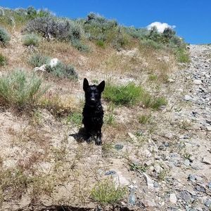 Meet your Posher, Trish