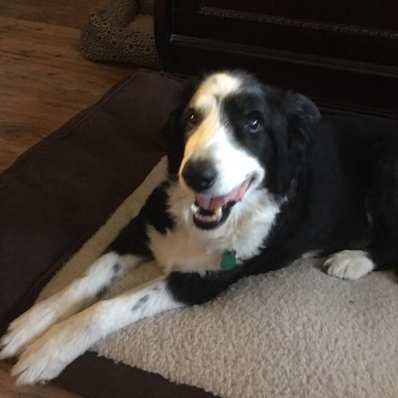 Meet your Posher, Lea