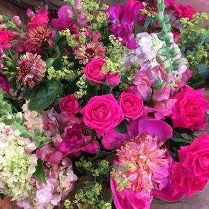 Meet your Posher, Liz phillips