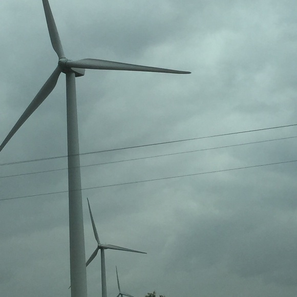 Meet your Posher, Bridgett