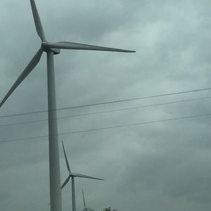 Meet your Posher, Bridgett