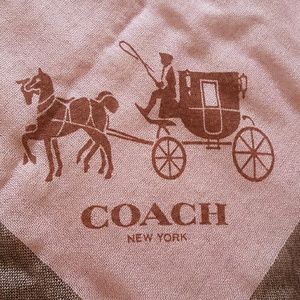Brand new Coach windowpane Challis scarf