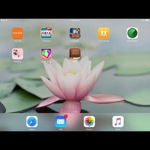 Meet your Posher, Tammy