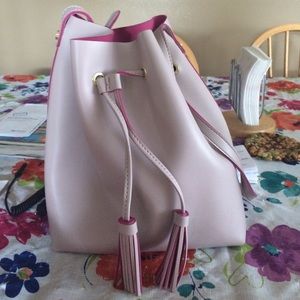 Steve Madden bag