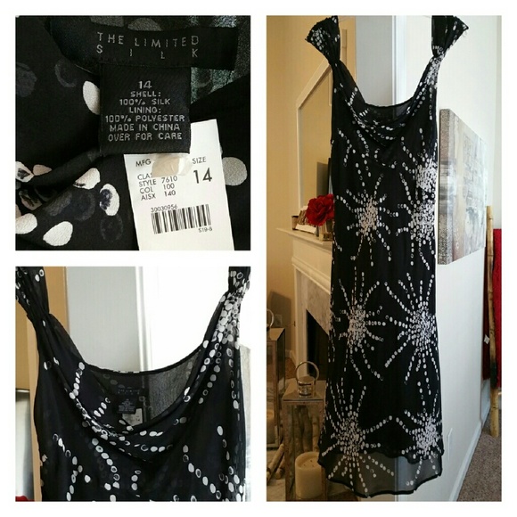 The Limited Silk Dress