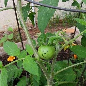 Meet your Posher, Deborah