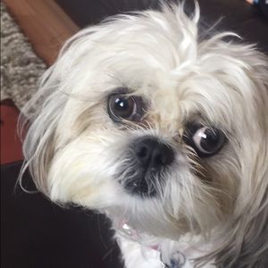 Meet your Posher, Michele