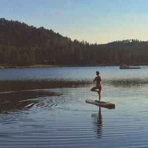 Meet your Posher, Jessie