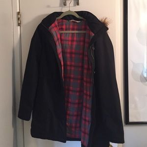 Hollister Winter Coat