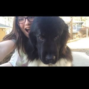 Meet your Posher, Abby