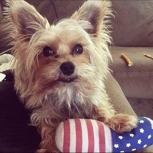 Meet your Posher, Felicia