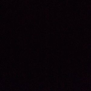 Meet your Posher, Bella