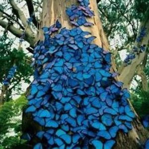 Meet your Posher, Virginia