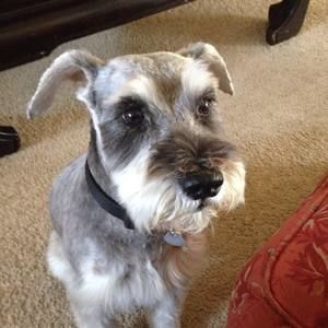 Meet your Posher, Kaye