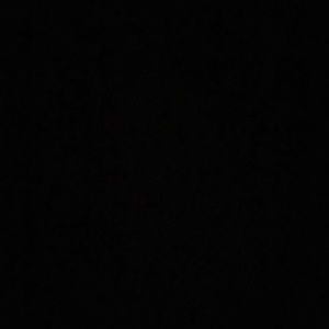 Meet your Posher, Autumn