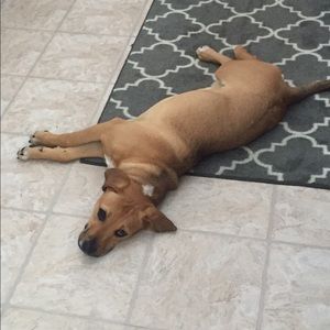 Meet your Posher, Savannah