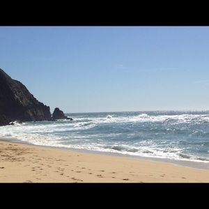 Meet your Posher, Shari