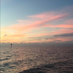 Meet your Posher, Kallie