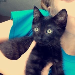 Meet your Posher, Emily