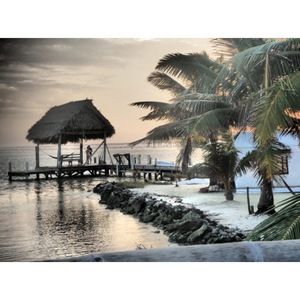 Meet your Posher, Patti