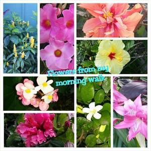 Meet your Posher, Tricia