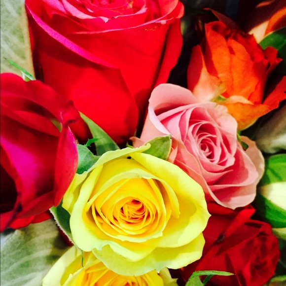 Meet your Posher, Allisa