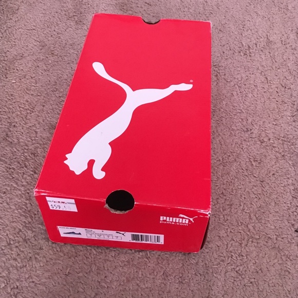 Pumas - Picture 3 of 3