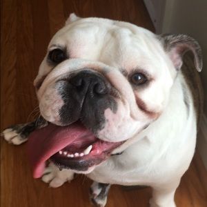 Meet your Posher, Maddie