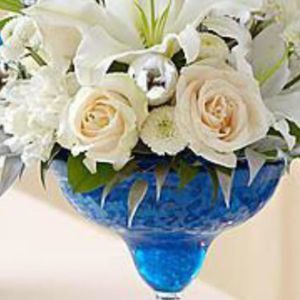 Meet your Posher, Aster