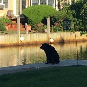 Meet your Posher, Marissa