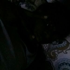 Meet your Posher, Erica