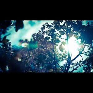 Meet your Posher, Farhana