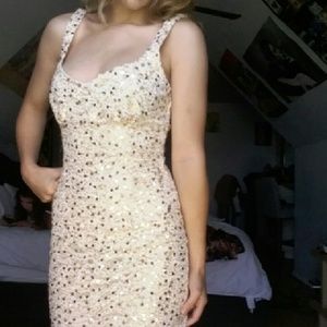 Sequin lace fitted dress