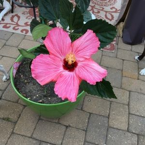 Meet your Posher, Kris