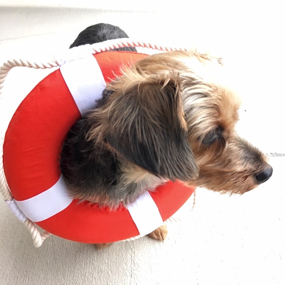 Meet your Posher, Melissa - Picture 7 of 7