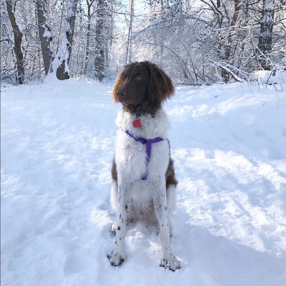 Meet your Posher! ✨💕 - Picture 2 of 3