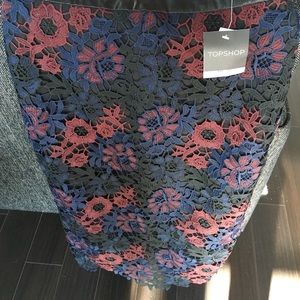 Topshop Skirt (size small)