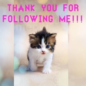 💗🌸Spread the Love🌸💗