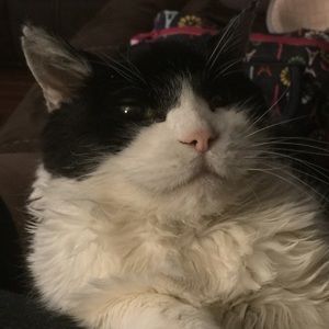 Meet your Posher, Emma